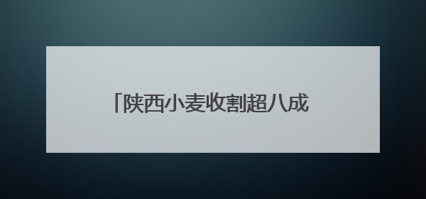 陕西小麦收割超八成 多措并举确保颗粒归仓
