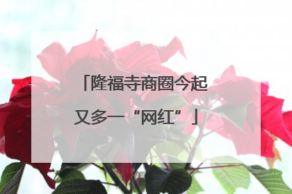 隆福寺商圈今起又多一“网红”