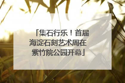 集石行乐！首届海淀石刻艺术周在紫竹院公园开幕
