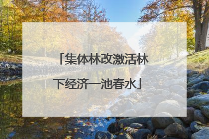 集体林改激活林下经济一池春水