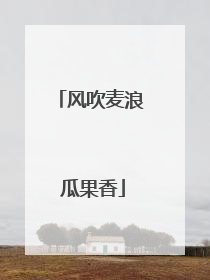 风吹麦浪 瓜果香