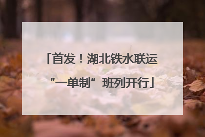 首发！湖北铁水联运“一单制”班列开行