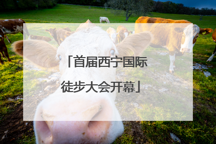 首届西宁国际徒步大会开幕
