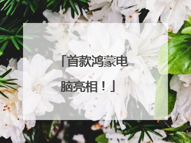 首款鸿蒙电脑亮相！