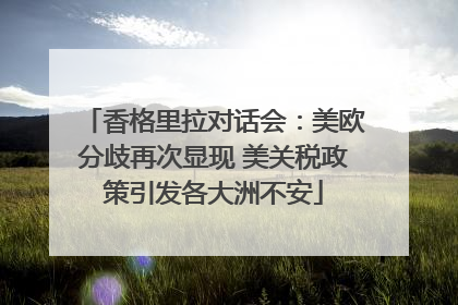 香格里拉对话会：美欧分歧再次显现 美关税政策引发各大洲不安