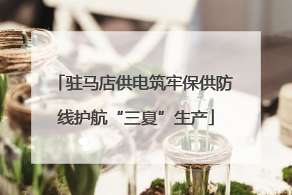 驻马店供电筑牢保供防线护航“三夏”生产