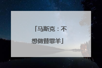 马斯克：不想做替罪羊
