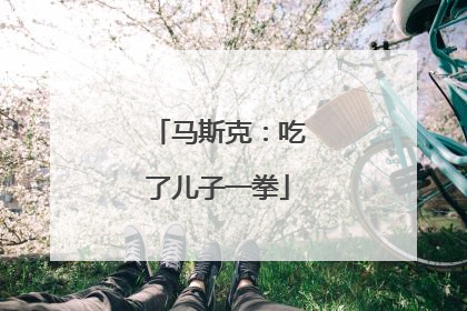 马斯克：吃了儿子一拳