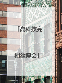 高科技亮相丝博会
