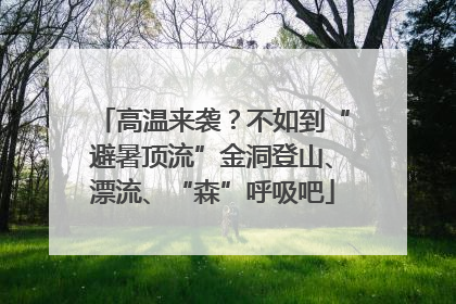 高温来袭？不如到“避暑顶流”金洞登山、漂流、“森”呼吸吧