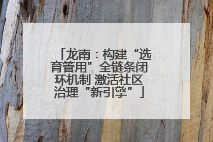 龙南：构建“选育管用”全链条闭环机制 激活社区治理“新引擎”
