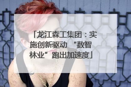 龙江森工集团：实施创新驱动 “数智林业”跑出加速度