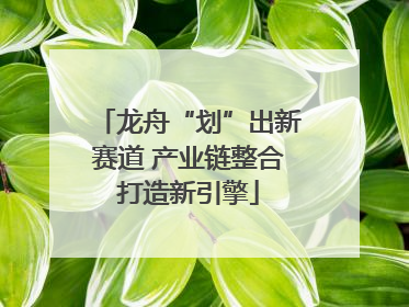龙舟“划”出新赛道 产业链整合打造新引擎