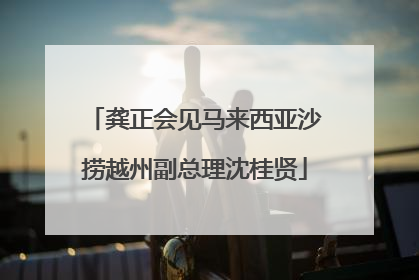 龚正会见马来西亚沙捞越州副总理沈桂贤