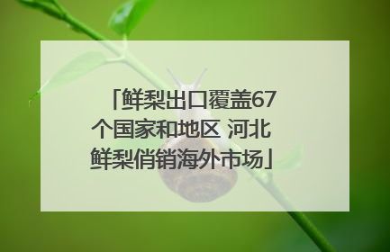 鲜梨出口覆盖67个国家和地区 河北鲜梨俏销海外市场