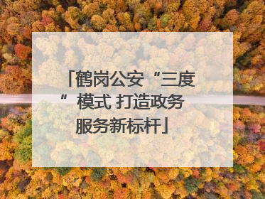 鹤岗公安“三度”模式 打造政务服务新标杆