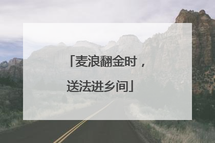 麦浪翻金时，送法进乡间