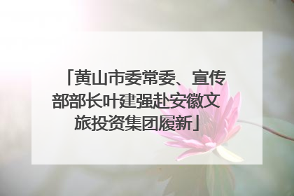 黄山市委常委、宣传部部长叶建强赴安徽文旅投资集团履新