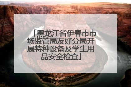 黑龙江省伊春市市场监管局友好分局开展特种设备及学生用品安全检查