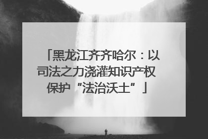 黑龙江齐齐哈尔：以司法之力浇灌知识产权保护“法治沃土”