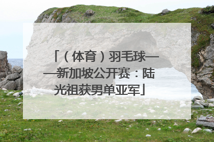 （体育）羽毛球——新加坡公开赛：陆光祖获男单亚军