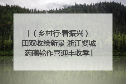 （乡村行·看振兴）一田双收绘新景 浙江婺城药膳轮作喜迎丰收季