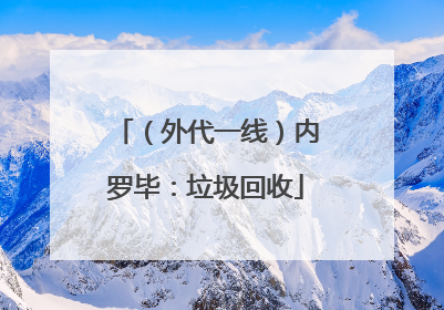 （外代一线）内罗毕：垃圾回收