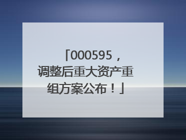 000595，调整后重大资产重组方案公布！