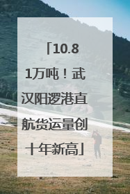 10.81万吨！武汉阳逻港直航货运量创十年新高