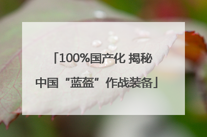 100%国产化 揭秘中国“蓝盔”作战装备