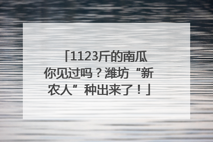 1123斤的南瓜你见过吗？潍坊“新农人”种出来了！