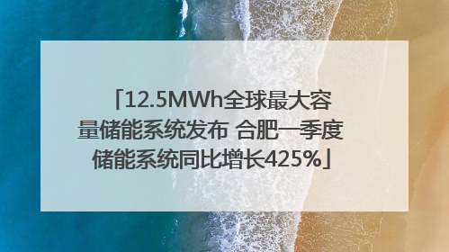 12.5MWh全球最大容量储能系统发布 合肥一季度储能系统同比增长425%