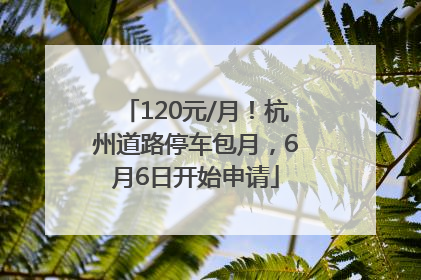 120元/月！杭州道路停车包月，6月6日开始申请