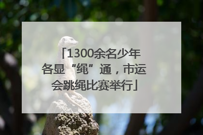 1300余名少年各显“绳”通，市运会跳绳比赛举行