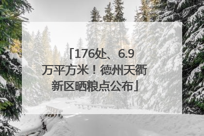 176处、6.9万平方米！德州天衢新区晒粮点公布