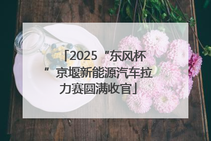 2025“东风杯”京堰新能源汽车拉力赛圆满收官