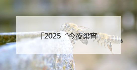 2025“今夜梁宵”第二届境内外旅行商对接会暨无锡入境旅游产品推介会成功举办