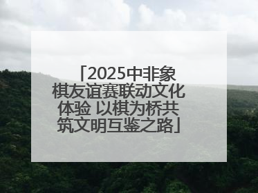 2025中非象棋友谊赛联动文化体验 以棋为桥共筑文明互鉴之路