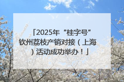 2025年“桂字号”钦州荔枝产销对接（上海）活动成功举办！