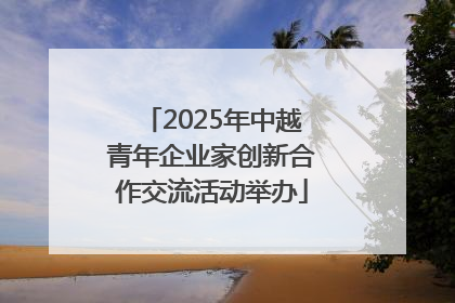 2025年中越青年企业家创新合作交流活动举办