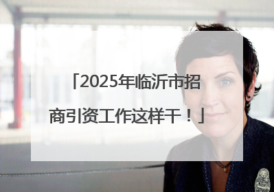 2025年临沂市招商引资工作这样干！