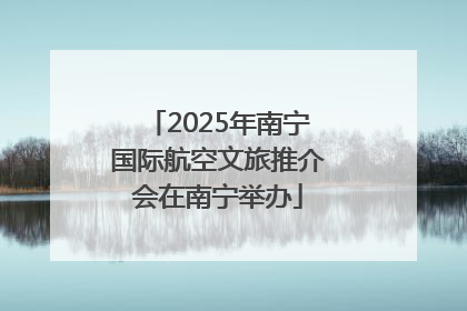 2025年南宁国际航空文旅推介会在南宁举办