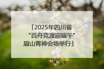 2025年四川省“百舟竞渡迎端午”眉山青神会场举行
