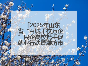 2025年山东省“百城千校万企”民企高校携手促就业行动暨潍坊市职教活动周启动