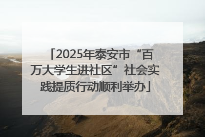 2025年泰安市“百万大学生进社区”社会实践提质行动顺利举办