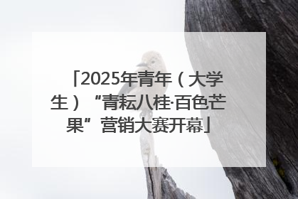 2025年青年（大学生）“青耘八桂·百色芒果”营销大赛开幕