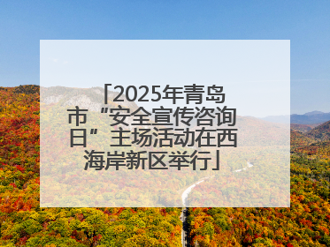 2025年青岛市“安全宣传咨询日”主场活动在西海岸新区举行
