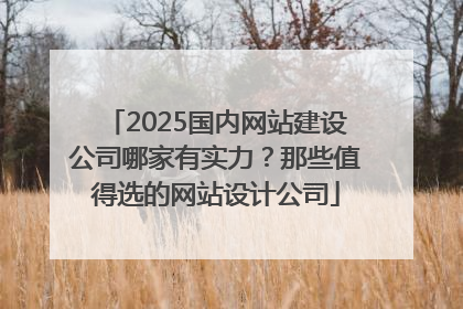 2025国内网站建设公司哪家有实力？那些值得选的网站设计公司