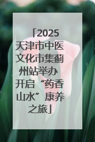 2025天津市中医文化市集蓟州站举办 开启“药香山水”康养之旅