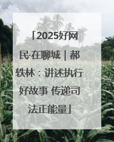 2025好网民·在聊城｜郝轶林：讲述执行好故事 传递司法正能量